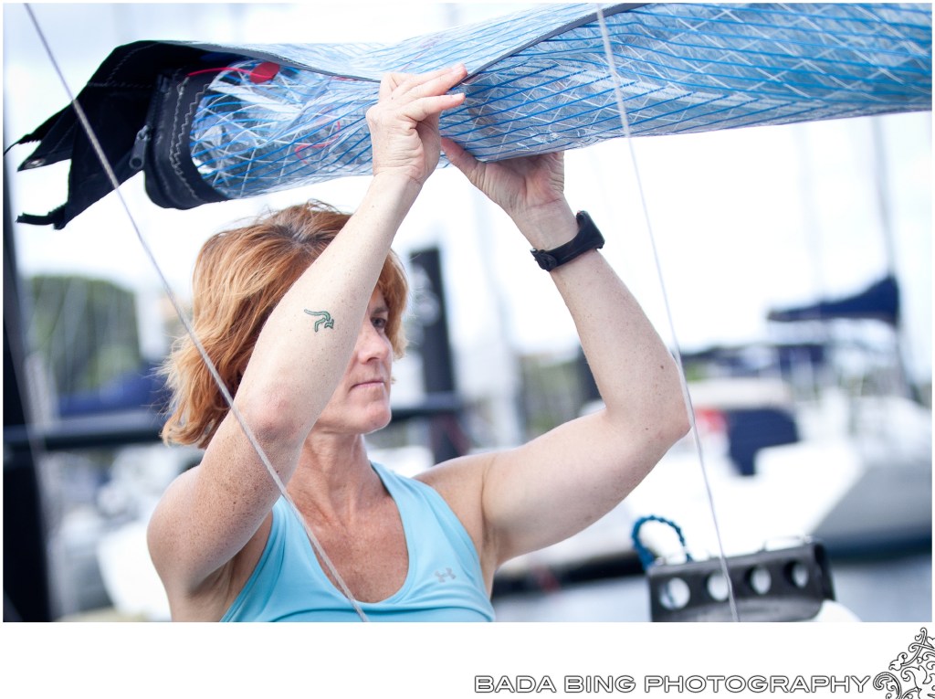 The Australian kangaroo