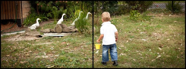 Bada Bing Photography